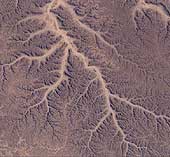 Dendritic Drainage