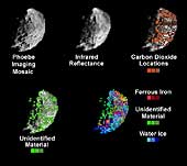 Phoebe's Mineral Distribution