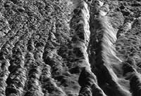 Perspective view of Damascus Sulcus, Enceladus