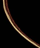 Saturn's F-Ring